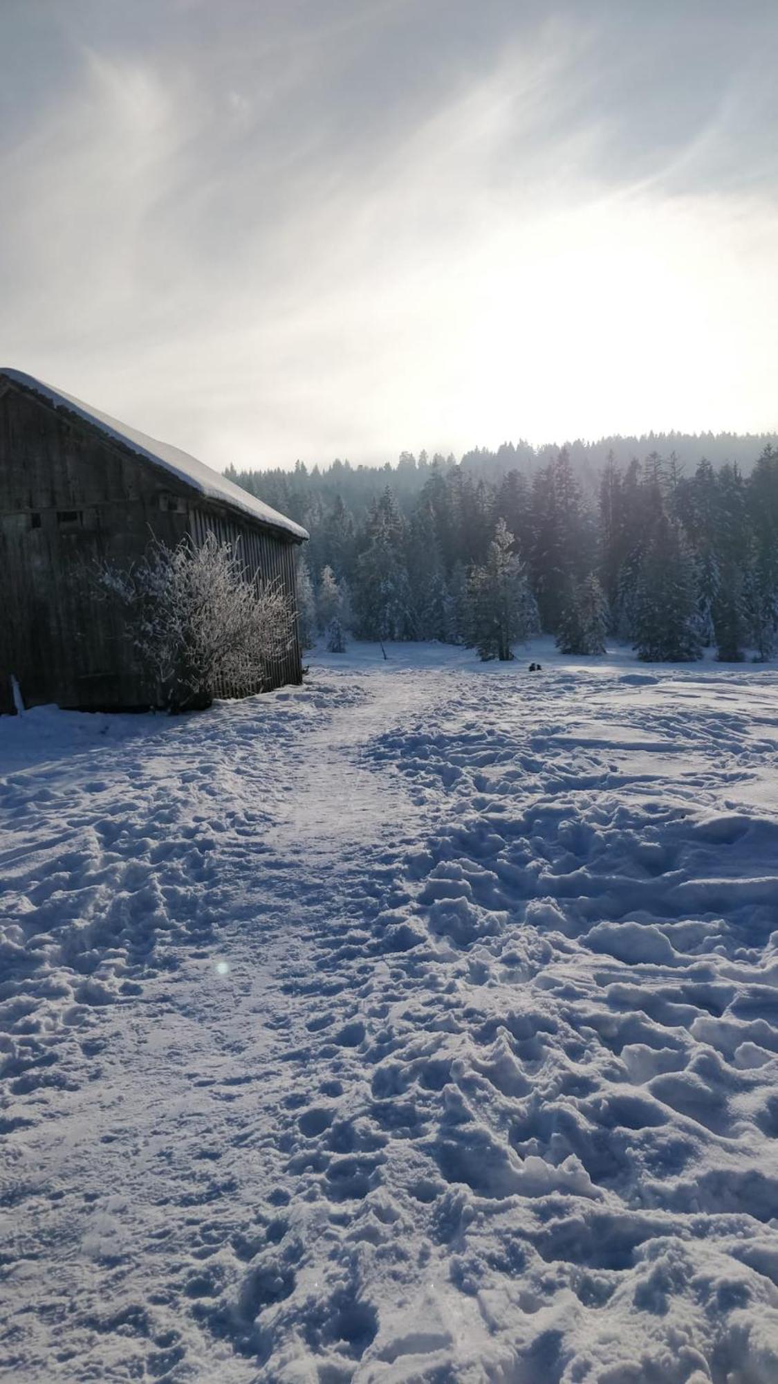 Villa Ferienhaus Buchen Schwarzenberg im Bregenzerwald Exterior foto