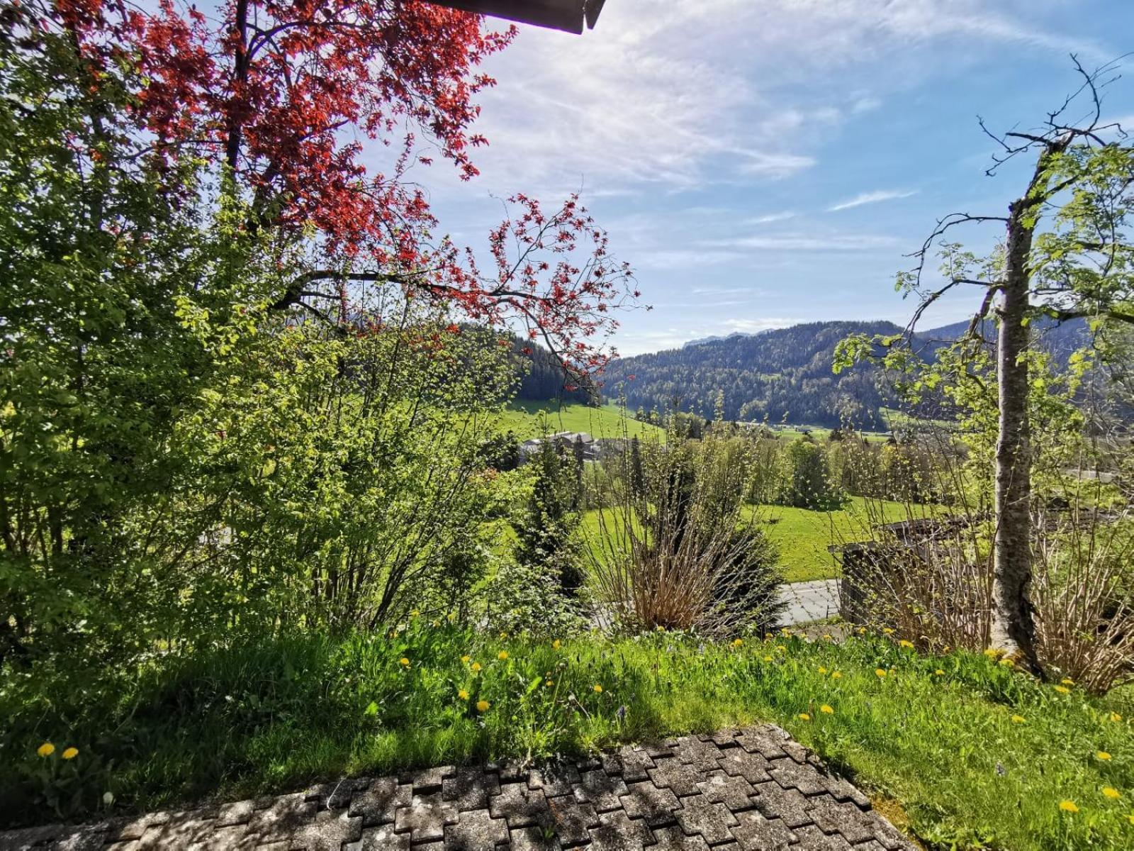 Villa Ferienhaus Buchen Schwarzenberg im Bregenzerwald Exterior foto